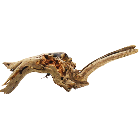 Decorline Spider Wood misure cm20x10x5h Foto Reale cod.SP09