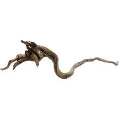 Decorline Spider Wood misure cm25x10x8h Foto Reale cod.SP44