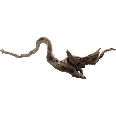 Decorline Spider Wood misure cm25x10x8h Foto Reale cod.SP44