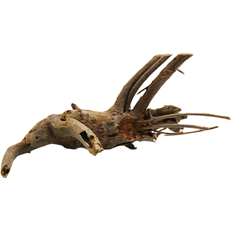 Decorline Spider Wood misure cm18x8x7h Foto Reale cod.SP21 Decorline Spider Wood misure cm18x8x7h Foto Reale cod.SP21