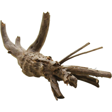 Decorline Spider Wood misure cm18x8x7h Foto Reale cod.SP21