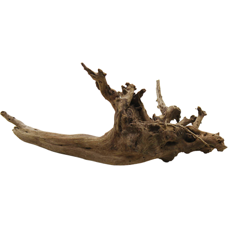 Decorline Spider Wood misure cm19x13x9h Foto Reale cod.SP11