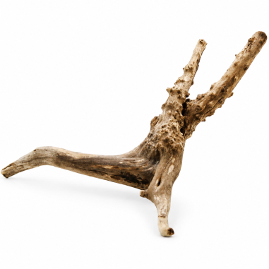 Decorline Spider Wood misure cm11x10x3h Foto Reale cod.SP16