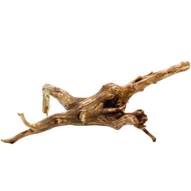 Decorline Spider Wood misure cm12x3x4h Foto Reale cod.SP17