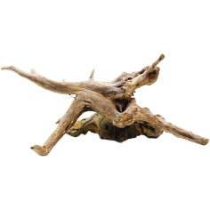 Decorline Spider Wood misure cm12x3x4h Foto Reale cod.SP17 2