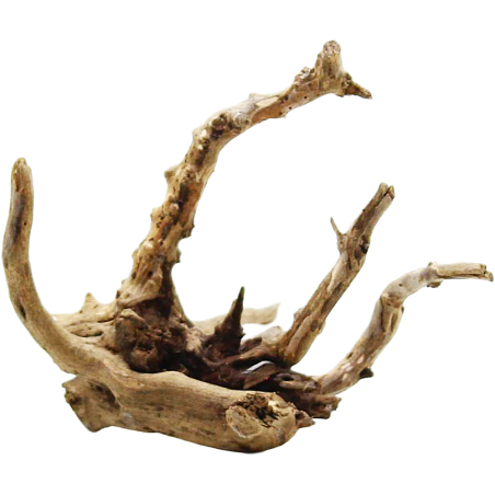 Decorline Spider Wood misure cm11x11x7h Foto Reale cod.SP26 Decorline Spider Wood misure cm11x11x7h Foto Reale cod.SP26