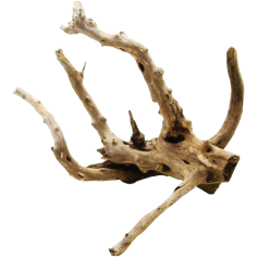 Decorline Spider Wood misure cm11x11x7h Foto Reale cod.SP26 2