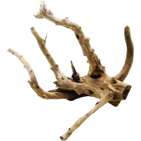 Decorline Spider Wood misure cm11x11x7h Foto Reale cod.SP26 Decorline Spider Wood misure cm11x11x7h Foto Reale cod.SP26