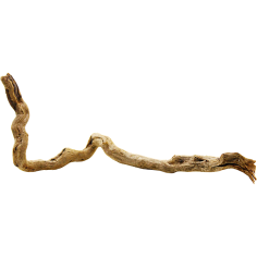 Decorline Spider Wood misure cm26x9x10h Foto Reale cod.SP29