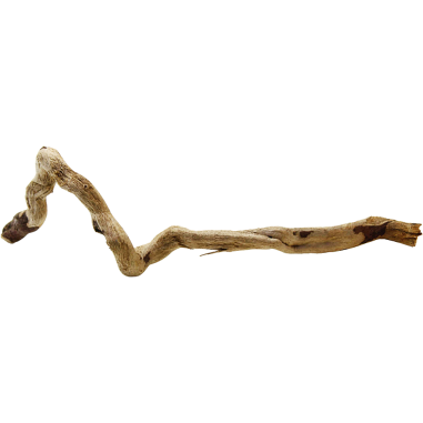 Decorline Spider Wood misure cm26x9x10h Foto Reale cod.SP29