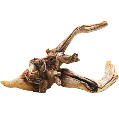 Decorline Spider Wood misure cm12x12x8h Foto Reale cod.SP33