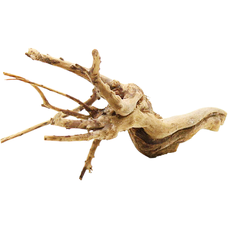 Decorline Spider Wood misure cm13x7x5 Foto Reale cod.SP10