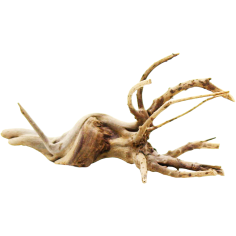 Decorline Spider Wood misure cm13x7x5 Foto Reale cod.SP10 2
