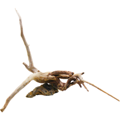 Decorline Spider Wood misure cm18x18x3h Foto Reale cod.SP49
