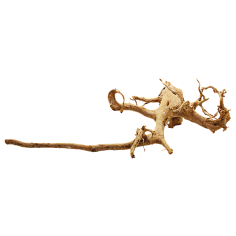Decorline Spider Wood misure cm65x20x45h Foto Reale cod.SP22 2