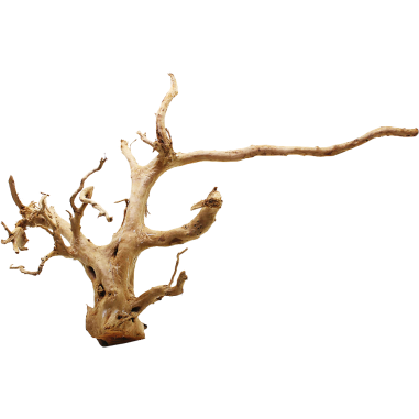 Decorline Spider Wood misure cm65x20x45h Foto Reale cod.SP22