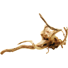 Decorline Spider Wood misure cm40x19x29h Foto Reale cod.SP42