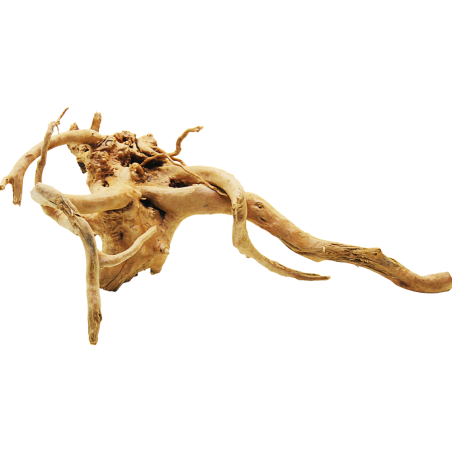 Decorline Spider Wood misure cm40x19x29h Foto Reale cod.SP42