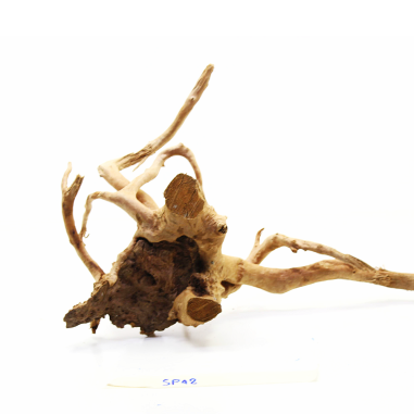 Decorline Spider Wood misure cm40x19x29h Foto Reale cod.SP42