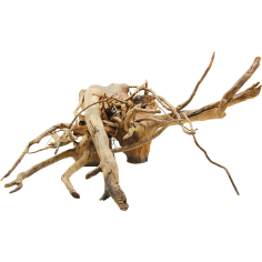 Decorline Spider Wood misure cm48x20x40h Foto Reale cod.SP06 2