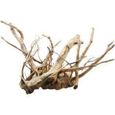 Decorline Spider Wood misure cm48x20x40h Foto Reale cod.SP06