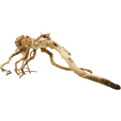 Decorline Spider Wood misure cm42x58x36h Foto Reale cod.SP48 2