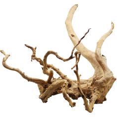 Decorline Spider Wood misure cm42x58x36h Foto Reale cod.SP48