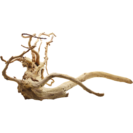 Decorline Spider Wood misure cm42x58x36h Foto Reale cod.SP48 Decorline Spider Wood misure cm42x58x36h Foto Reale cod.SP48