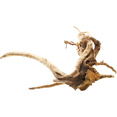 Decorline Spider Wood misure cm42x58x36h Foto Reale cod.SP48
