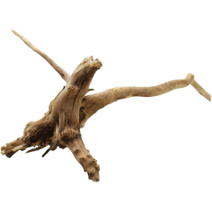 Decorline Spider Wood misure cm13x17x23h Foto Reale cod.SP43 2