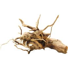 Decorline Spider Wood misure cm25x25x11h Foto Reale cod.SP40 2