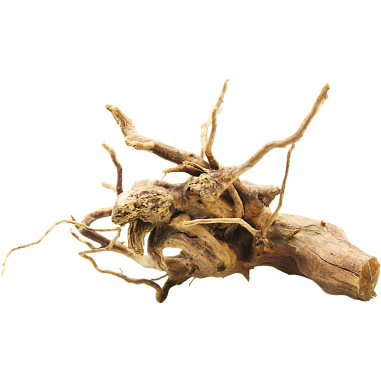 Decorline Spider Wood misure cm25x25x11h Foto Reale cod.SP40