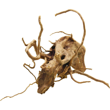 Decorline Spider Wood misure cm25x25x11h Foto Reale cod.SP40