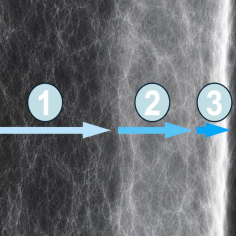 Dennerle 5865 Ricambio confezione 3 cartucce per Nano Filtro Angolare e Angolare XL 2