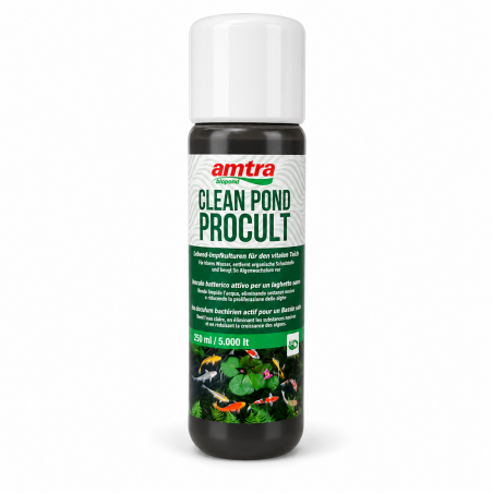 Amtra Pond Clean Procult 250 ml - Batteri vivi per laghetto