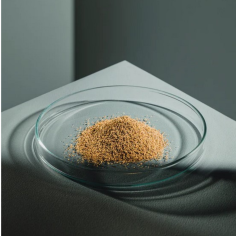 Streambiz Spirulina Granules + Catappa 40 g - mangime in... 2