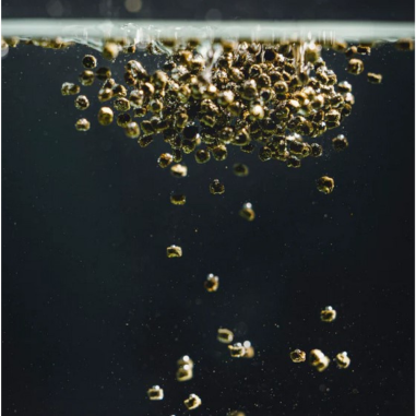 Streambiz Crusta PLUS Insect Chips 40 g -...