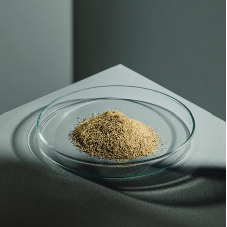 Streambiz Guppy Color Granules 40 g - mangime in granuli per Poecilidi