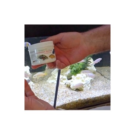 Streambiz Cichlid Spirulina Softgranules 80 g - mangime in granuli con Spirulina per Ciclidi
