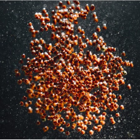 Streambiz Cichlid Color Softgranules 230 g - mangime in granuli per Ciclidi