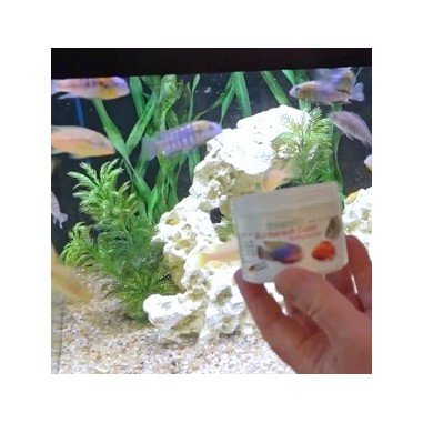 Streambiz Cichlid Color Softgranules 80 g -...