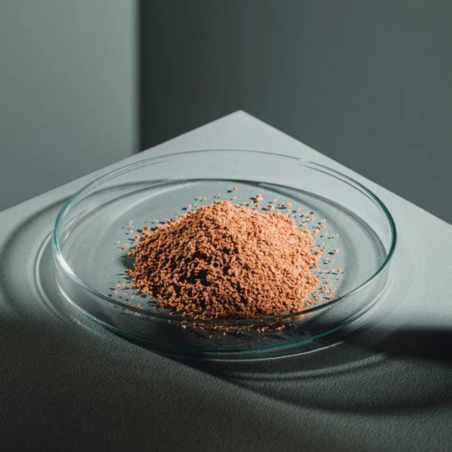 Streambiz Skalar Protein+ Granules M 80 g - mangime in granuli per Scalari
