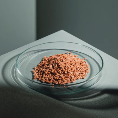 Streambiz Skalar Protein+ Granules L 80 g -...