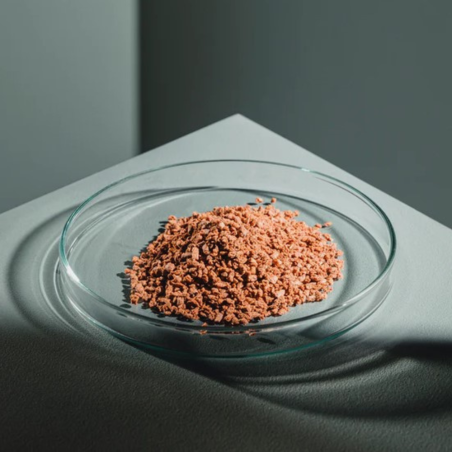 Streambiz Skalar Protein+ Granules L 80 g - mangime in granuli per Scalari