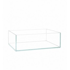 Flow Cube Schallow Aquarium 40 lt - acquario 60x30x25h (6mm)