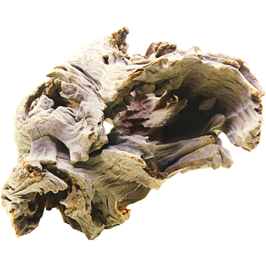 DecorLine Driftwood Misura cm24x18x29h Foto Reale cod.DW06