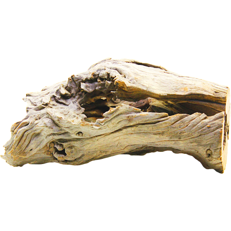 DecorLine Driftwood Misura cm24x18x29h Foto Reale cod.DW06