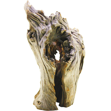 DecorLine Driftwood Misura cm24x18x29h Foto Reale cod.DW06