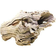 DecorLine Driftwood Misura cm24x18x29h Foto Reale cod.DW06 2