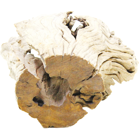 DecorLine Driftwood Misura cm24x18x29h Foto Reale cod.DW06
